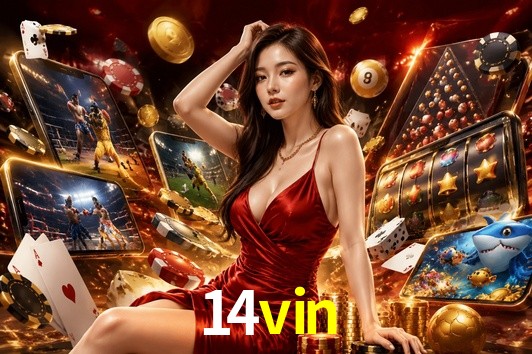 Experiência VIP 14vin