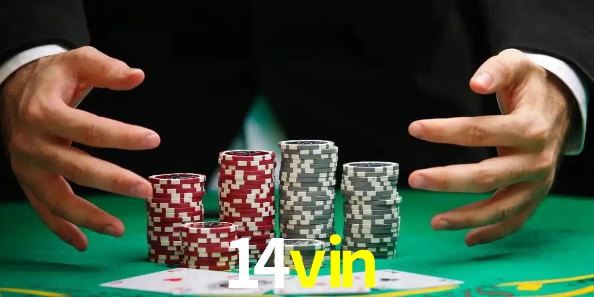 cassino 14vin