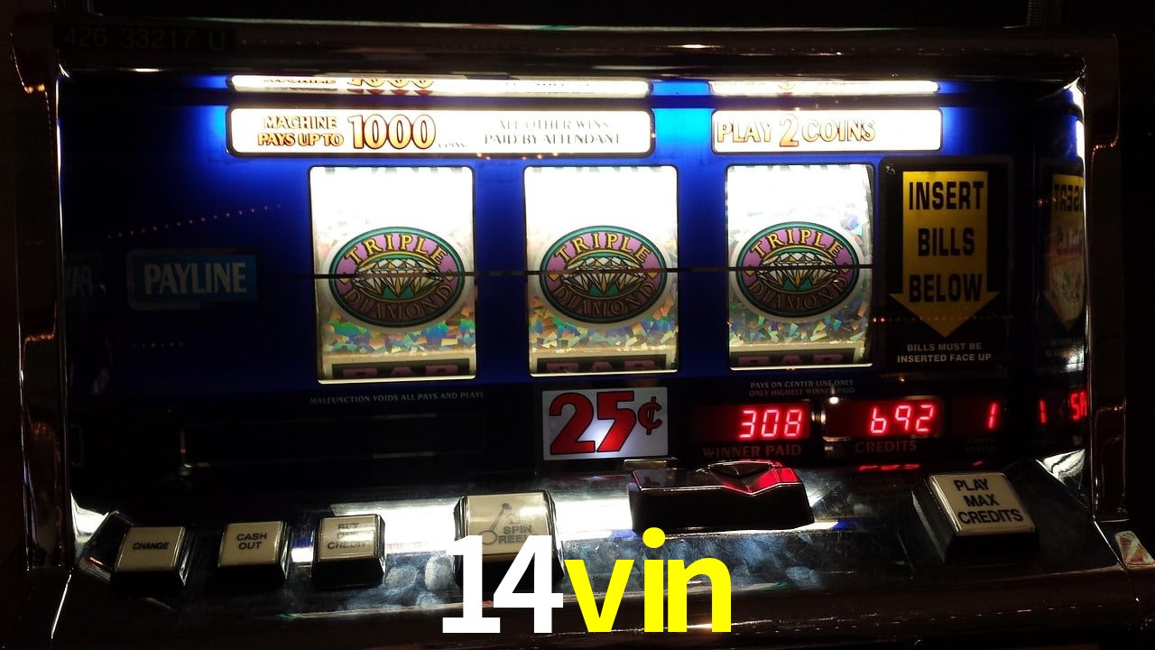 Sports Statistics 14vin