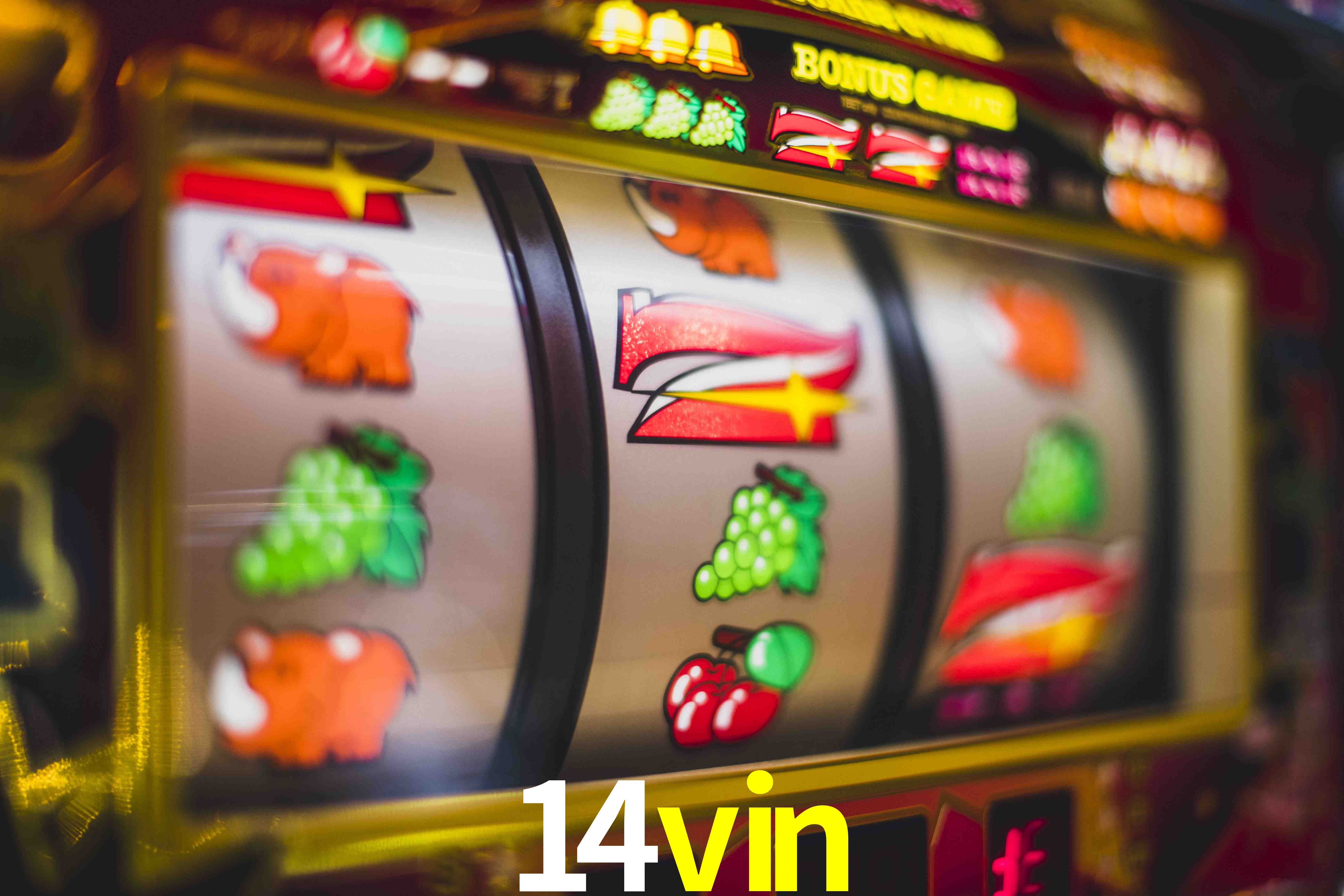 Basketball Betting 14vin